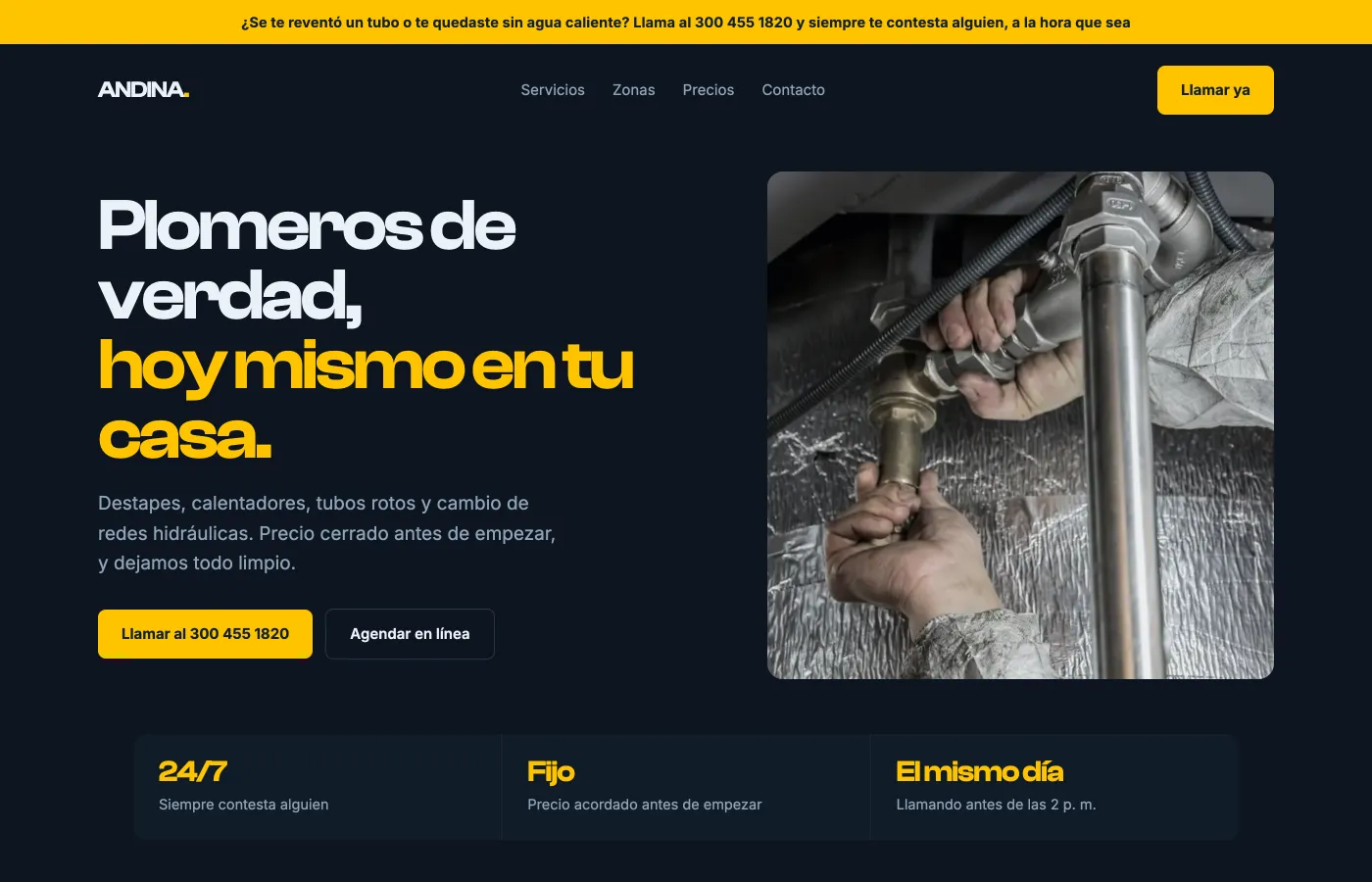 Diseño de ejemplo para una empresa de plomería